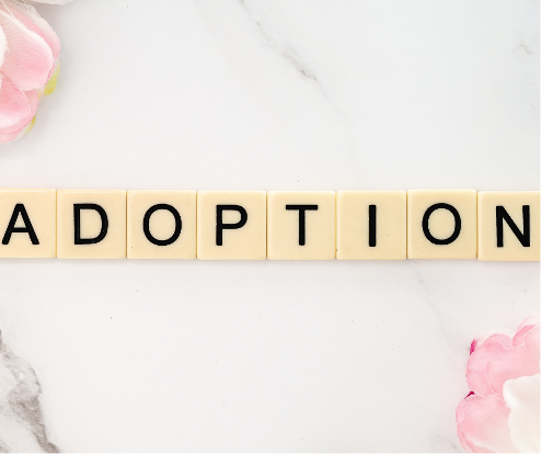 November is National Adoption Month!